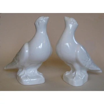 Mázas galamb felfelé néző